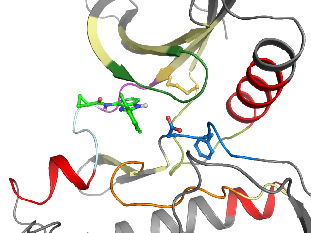 The orthosteric binding pocket