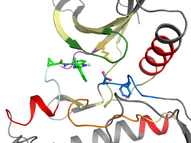 The orthosteric binding pocket