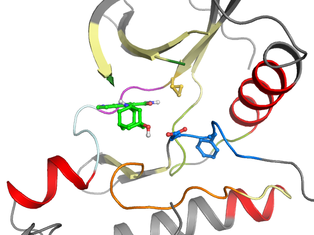 The orthosteric binding pocket
