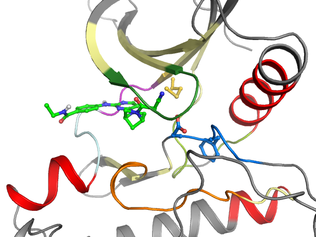 The orthosteric binding pocket