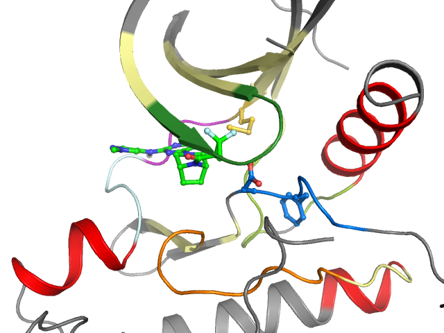 The orthosteric binding pocket