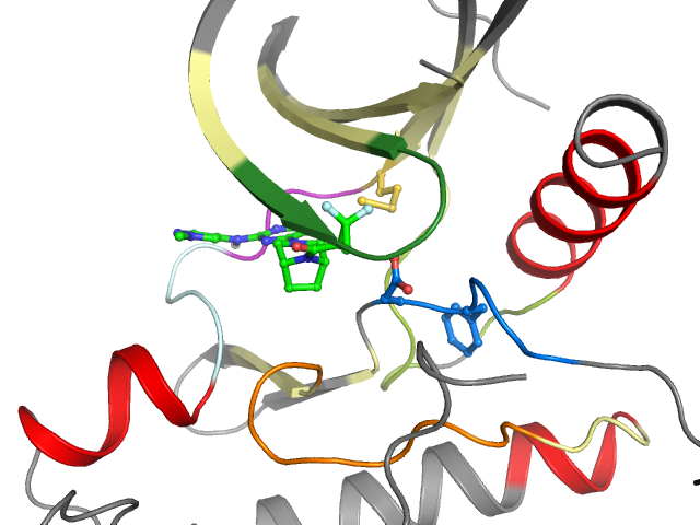 The orthosteric binding pocket
