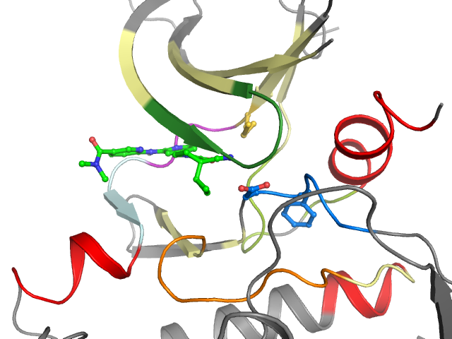 The orthosteric binding pocket