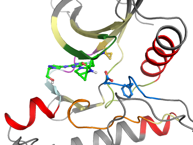 The orthosteric binding pocket