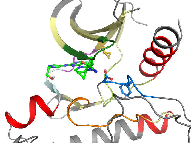 The orthosteric binding pocket