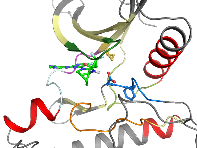 The orthosteric binding pocket