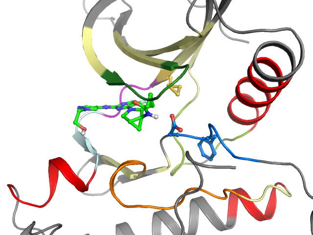 The orthosteric binding pocket