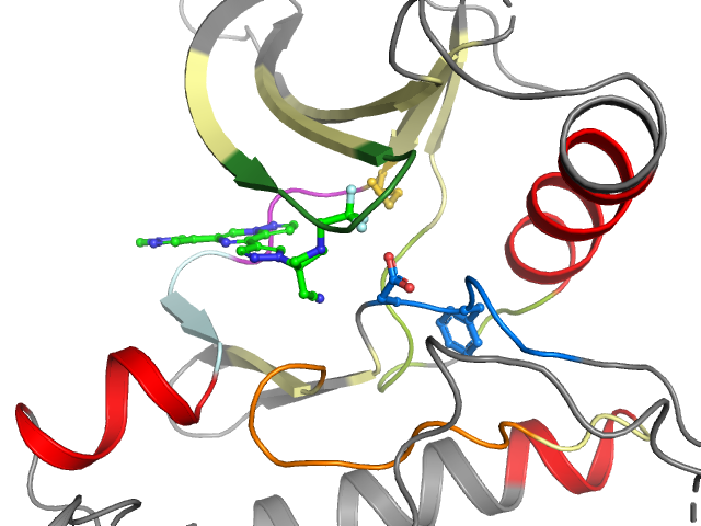 The orthosteric binding pocket