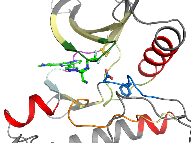 The orthosteric binding pocket