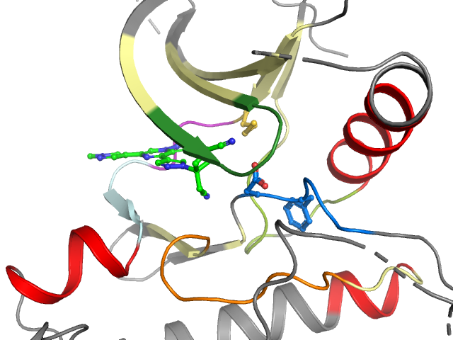 The orthosteric binding pocket
