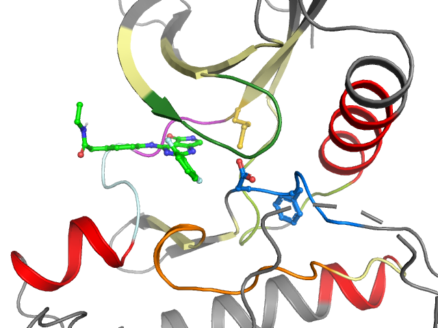 The orthosteric binding pocket