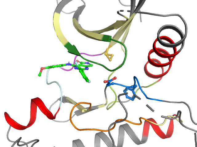 The orthosteric binding pocket