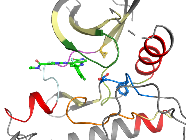 The orthosteric binding pocket
