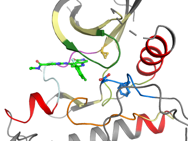 The orthosteric binding pocket