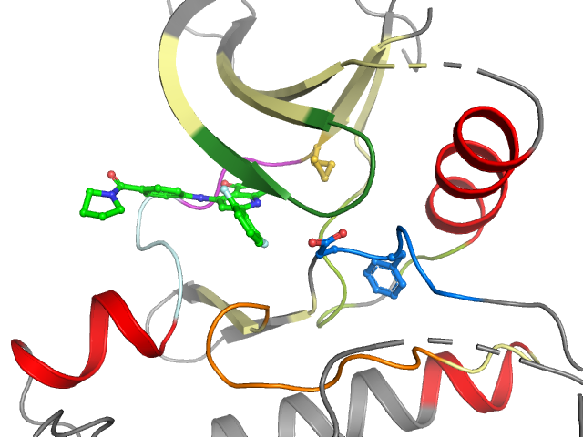 The orthosteric binding pocket