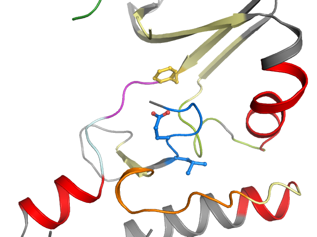 The orthosteric binding pocket