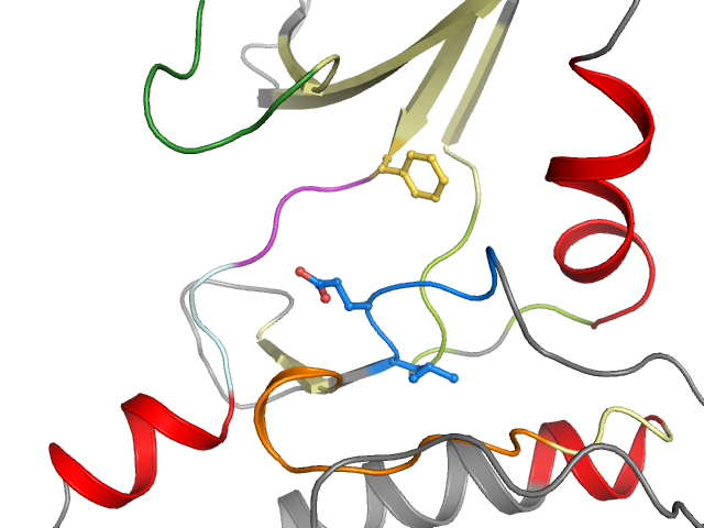 The orthosteric binding pocket