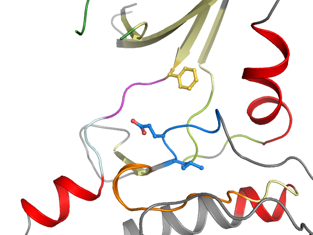 The orthosteric binding pocket