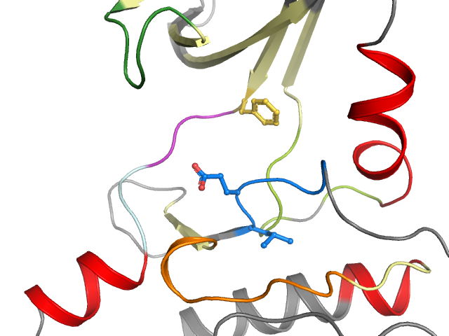 The orthosteric binding pocket