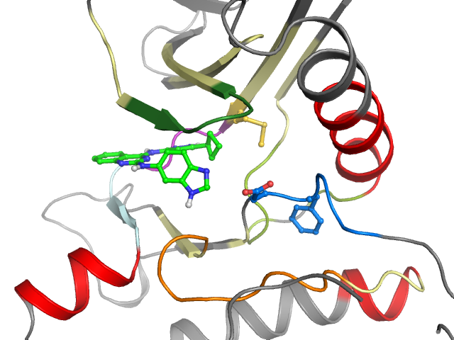 The orthosteric binding pocket