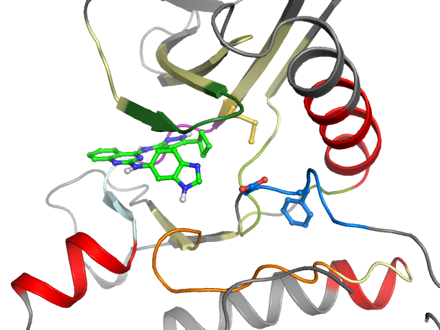 The orthosteric binding pocket