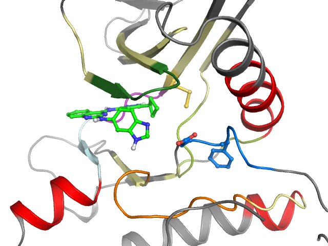 The orthosteric binding pocket