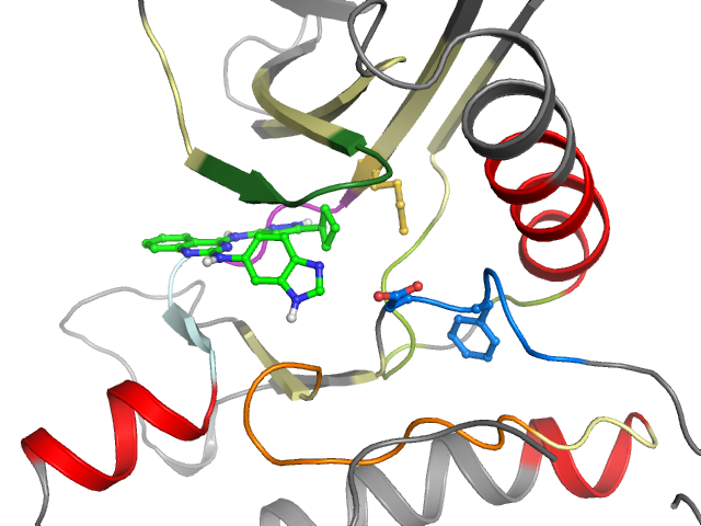 The orthosteric binding pocket