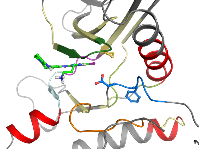 The orthosteric binding pocket