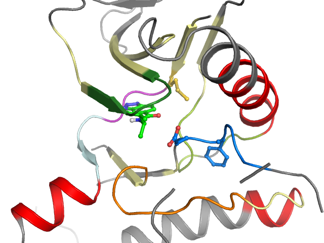 The orthosteric binding pocket