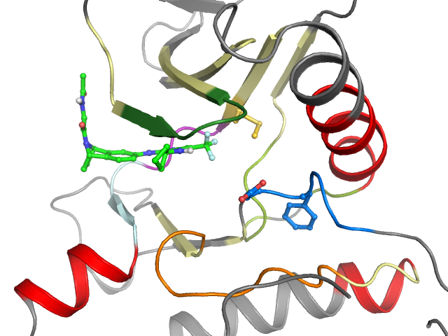 The orthosteric binding pocket