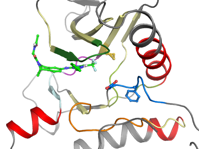 The orthosteric binding pocket