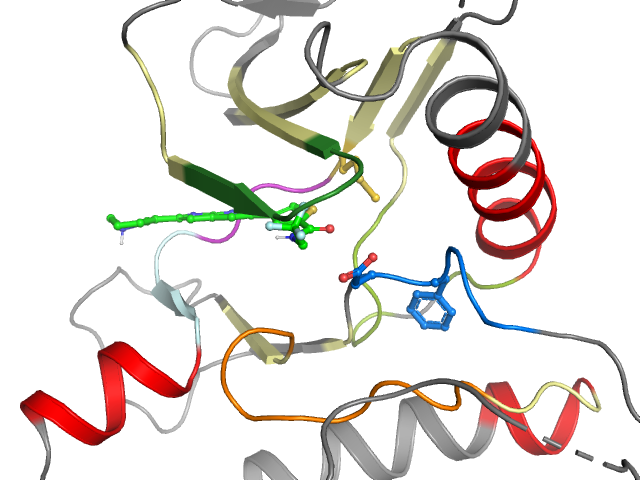 The orthosteric binding pocket