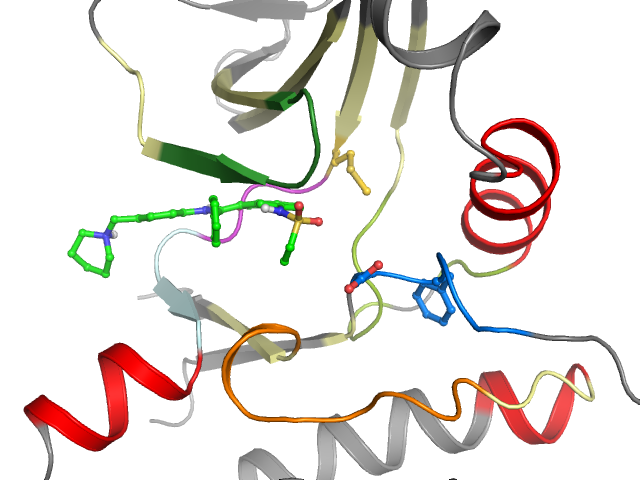 The orthosteric binding pocket