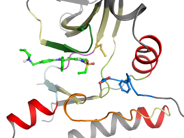 The orthosteric binding pocket