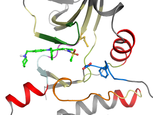 The orthosteric binding pocket