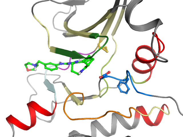 The orthosteric binding pocket