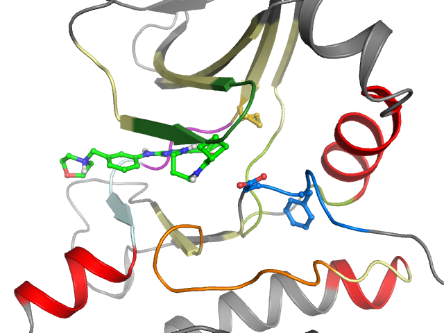 The orthosteric binding pocket
