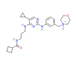 2D structure of the orthosteric ligand