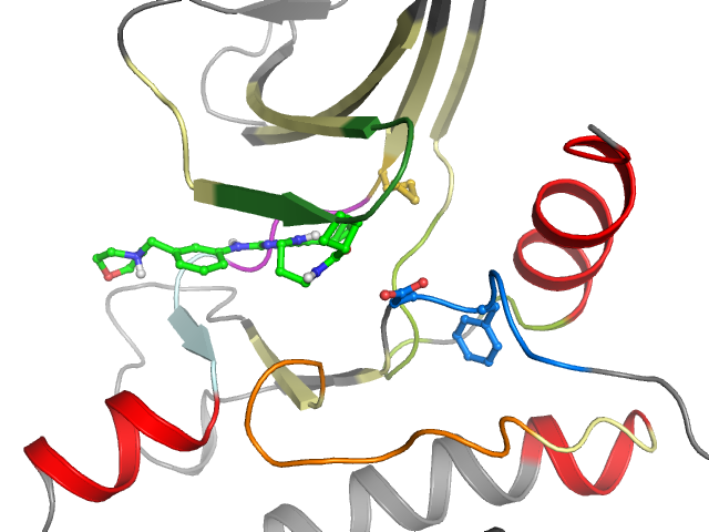 The orthosteric binding pocket