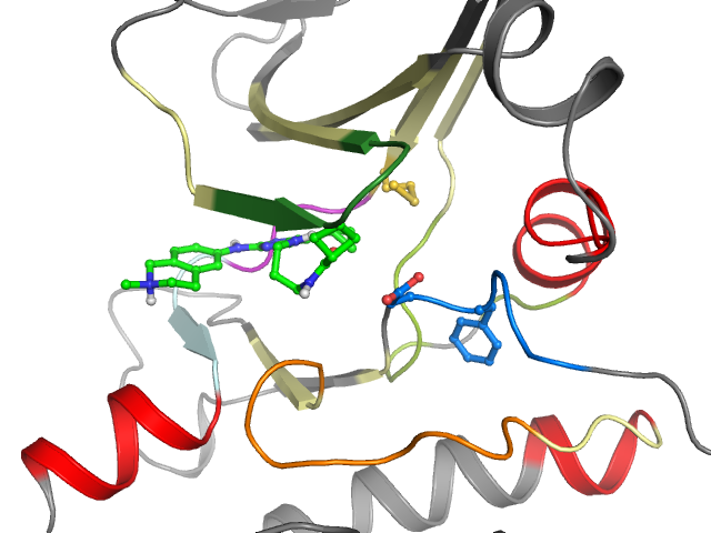The orthosteric binding pocket