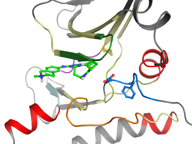 The orthosteric binding pocket