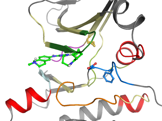 The orthosteric binding pocket