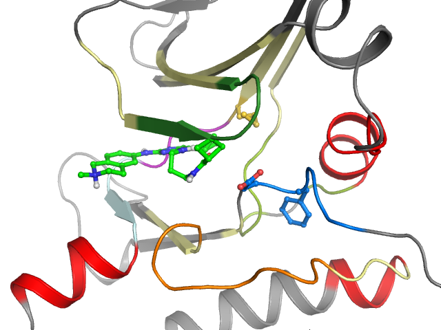 The orthosteric binding pocket