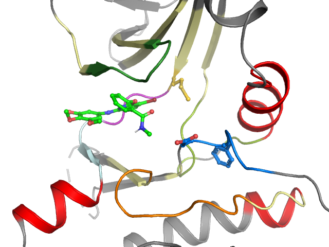 The orthosteric binding pocket