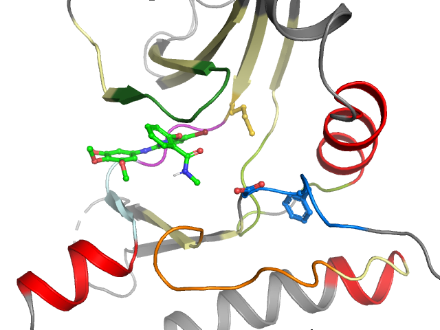 The orthosteric binding pocket