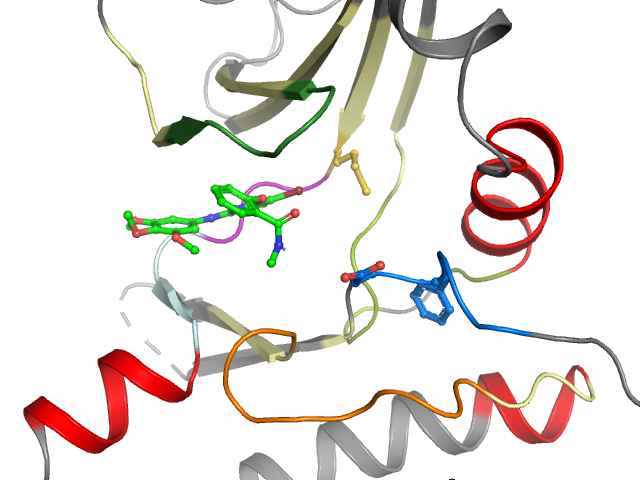 The orthosteric binding pocket