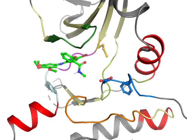 The orthosteric binding pocket