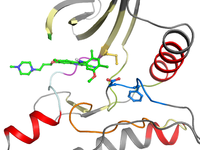 The orthosteric binding pocket