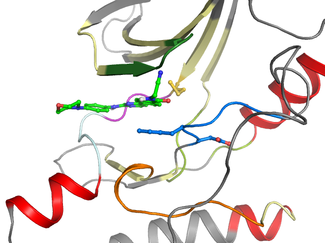 The orthosteric binding pocket