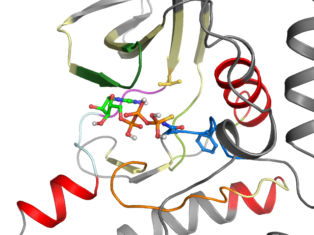 The orthosteric binding pocket